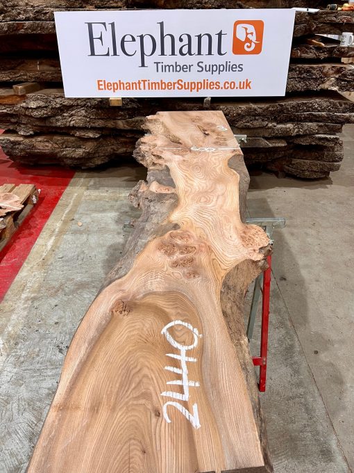 Elm #005 piece of kiln dried wood for sale