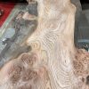Elm #005 piece of kiln dried wood for sale