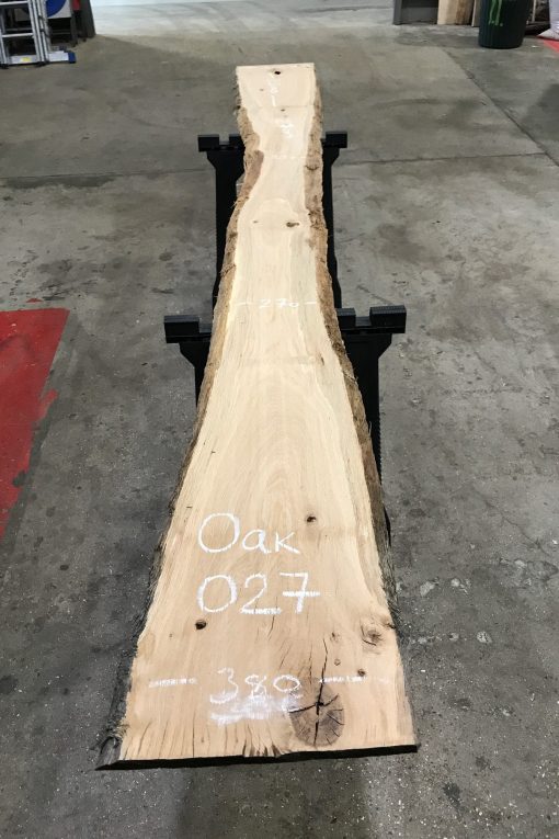 Oak #027