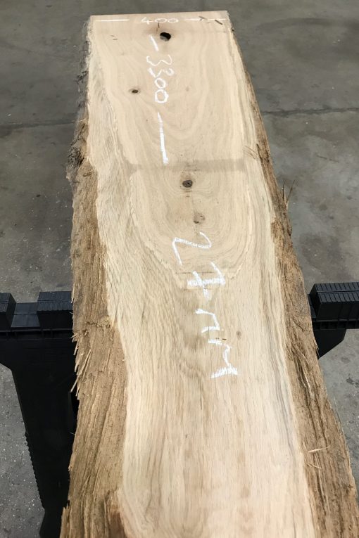 Oak #027
