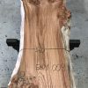 Burr Elm single plank #009