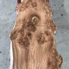 Burr Elm single plank #009