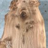 Burr Elm single plank #009
