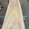Elm plank #067