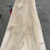 Elm plank #067