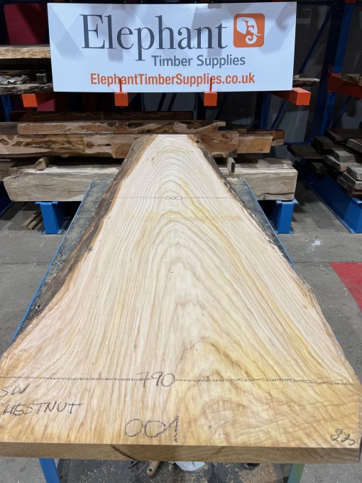 Sweet Chestnut #001