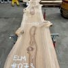 Elm #073
