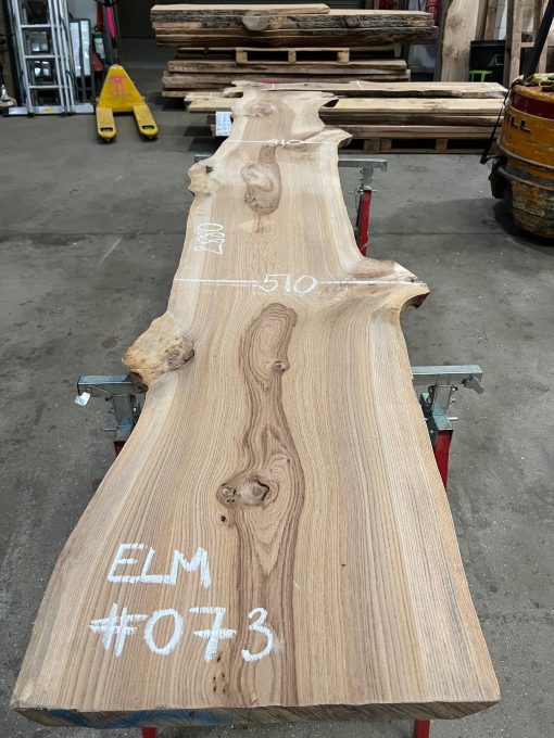 Elm #073