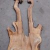Elm plank #082