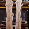 Elm timber plank #078