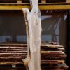 Elm timber plank #085