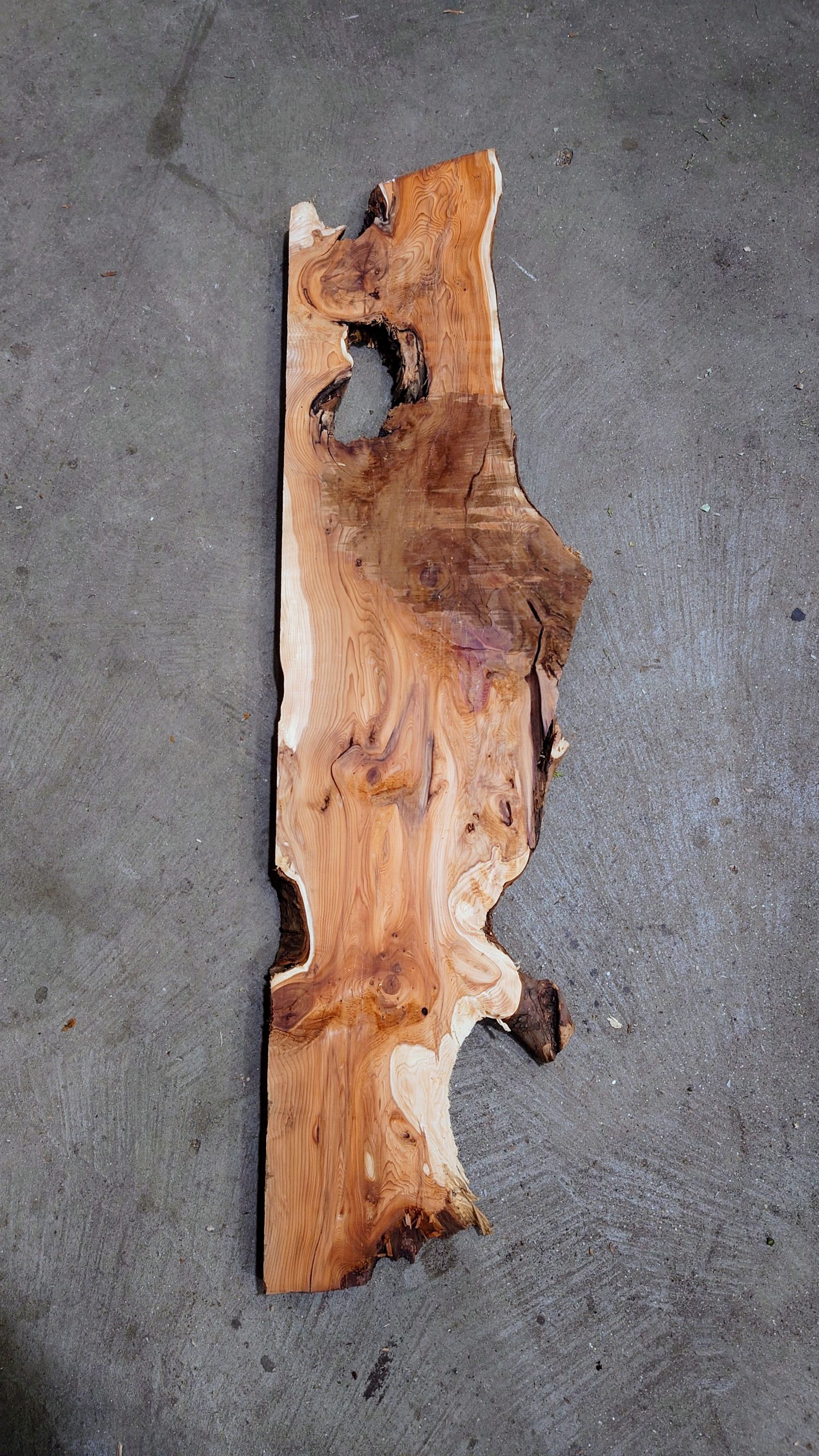 Yew 008 Buy Now wc_price ⁄ Elephant Timber Supplies East Sussex