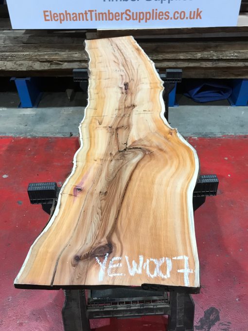 Yew kiln dried plank #007