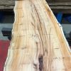 Yew kiln dried plank #007