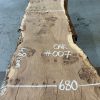 Oak #007 with live edges kiln dried