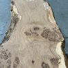 Oak #007 with live edges kiln dried