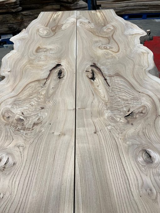 Elm Book Matched Pair #077