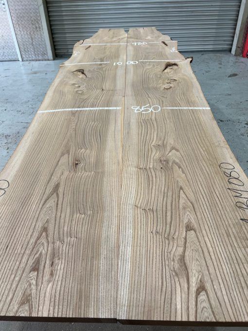 Elm Book Matched Pair 080