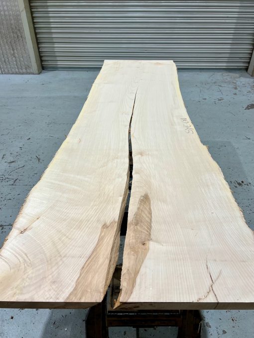 Sycamore #011 kiln dried