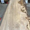 Elm #081 kiln dried timber plank