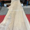 Elm #081 kiln dried timber plank