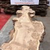 Burr Oak #018 kiln dried. Disc sanded on top side to show the pattern