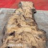 Burr Oak #008. Kiln dried slabs for making resin table tops
