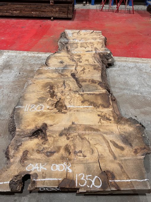 Burr Oak #008. Kiln dried slabs for making resin table tops