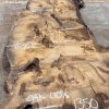Burr Oak #008. Kiln dried slabs for making resin table tops