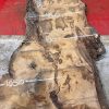 Burr Oak #008. Kiln dried slabs for making resin table tops