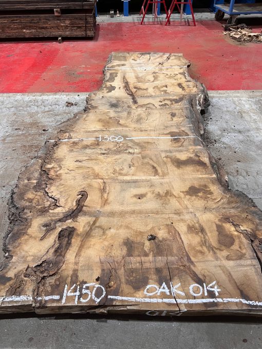 Burr Oak #014. Kiln dried slabs for making resin table tops