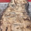 Burr Oak #014. Kiln dried slabs for making resin table tops