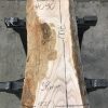 Elm small plank #090