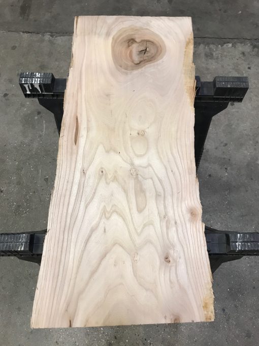 Elm small plank #090