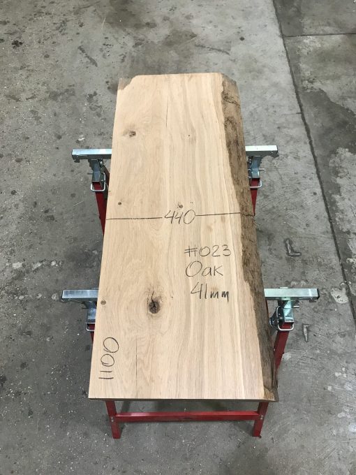 Oak #023