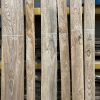 Straight edged Elm
