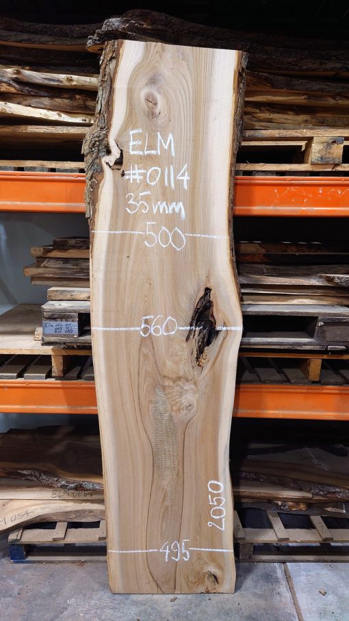 Elm plank #0114