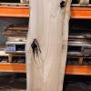 Elm plank #0114