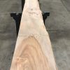 plank of Elm #093