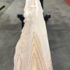 plank of Elm #094