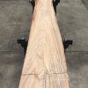 plank of Elm #095
