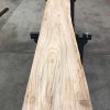 plank of Elm #095