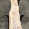 plank of Elm #096