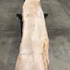 plank of Elm #097