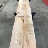 plank of Elm #097