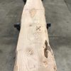 plank of Elm #0107