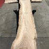 plank of Elm #0109