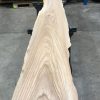 plank of Elm #0109