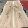 Elm Table Top with Live Edges