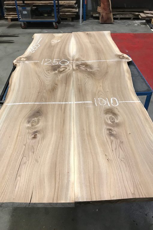 Elm Table Top with Live Edges